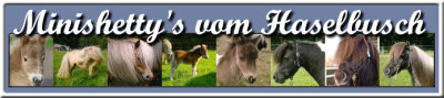 http://www.ponyzucht-heideland.de/files/homepagekopf-18092010.jpg